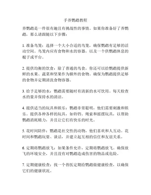 手养鹦鹉教程