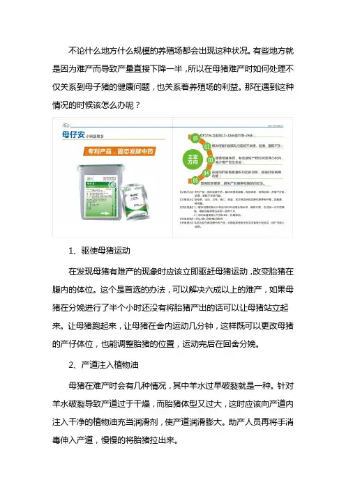 母猪遇到难产怎么办