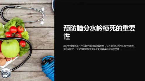 《脑分水岭梗死》课件