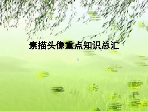 素描头像结构