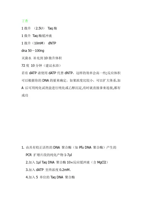 平端PCR产物加尾及连接转化