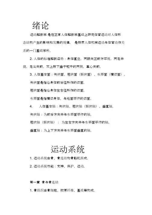运动解剖学知识点