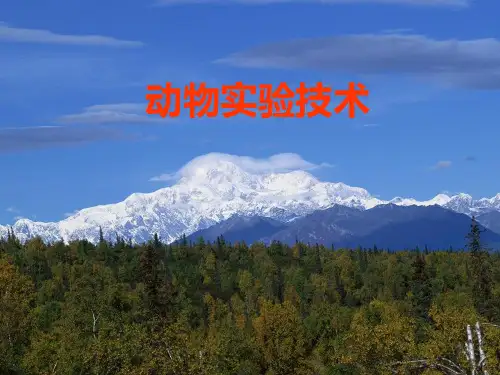 动物实验技术2