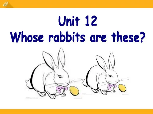 2023英语三年级下册Module 6 Unit 12《Whose rabbits are thes