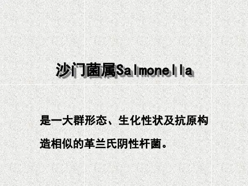 沙门菌属