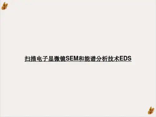 扫描电子显微镜SEM和能谱分析技术EDS课件下载