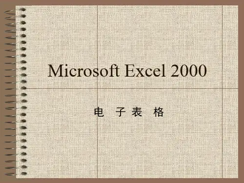 Microsoft Excel 2000