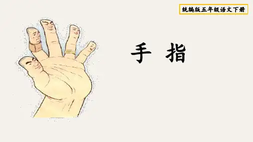 第22课《手指》优秀课件