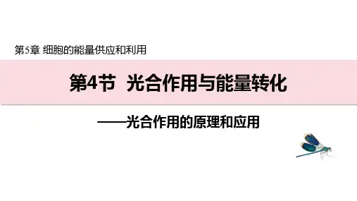 【课件】光合作用的原理和应用课件高一上学期生物人教版必修1