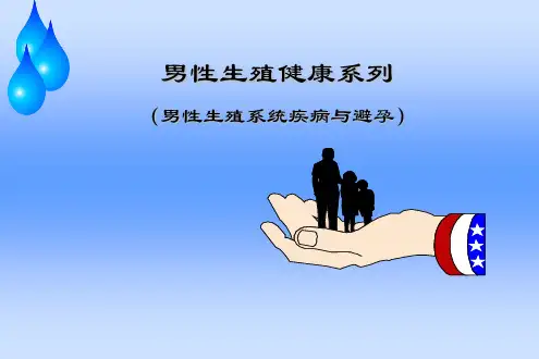 男性生殖健康系列PPT课件