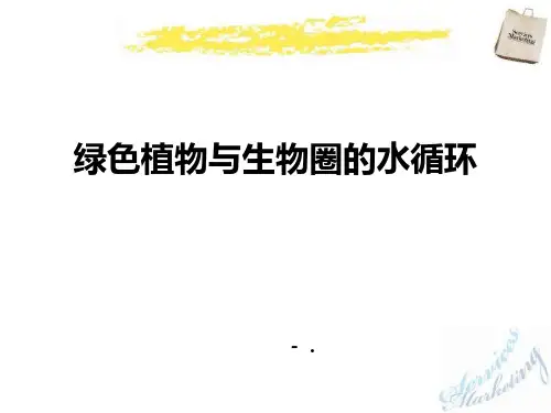 《绿色植物与生物圈的水循环》PPT课件