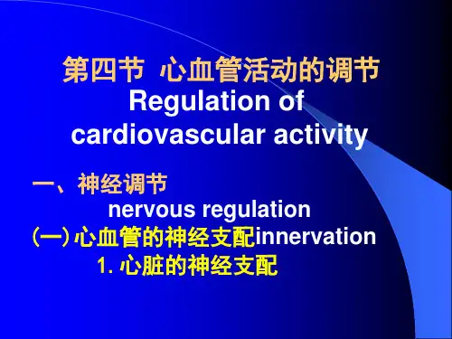 生理学--心血管活动的调节 PPT课件