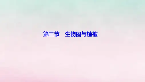 高中地理第二单元第三节生物圈与植被鲁教版必修一