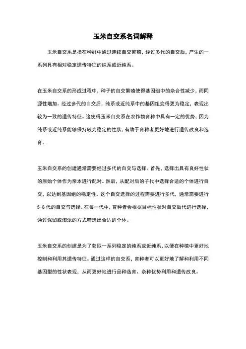 玉米自交系名词解释
