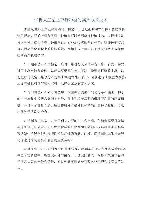 试析大豆垄上双行种植的高产栽培技术