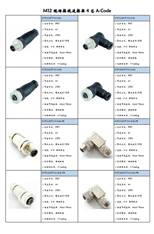 M12现场接线连接器4芯A-Code