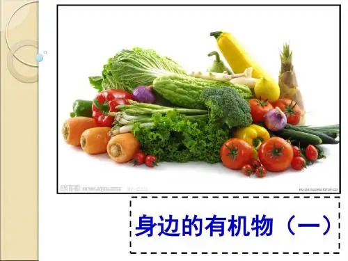 身边的有机物2