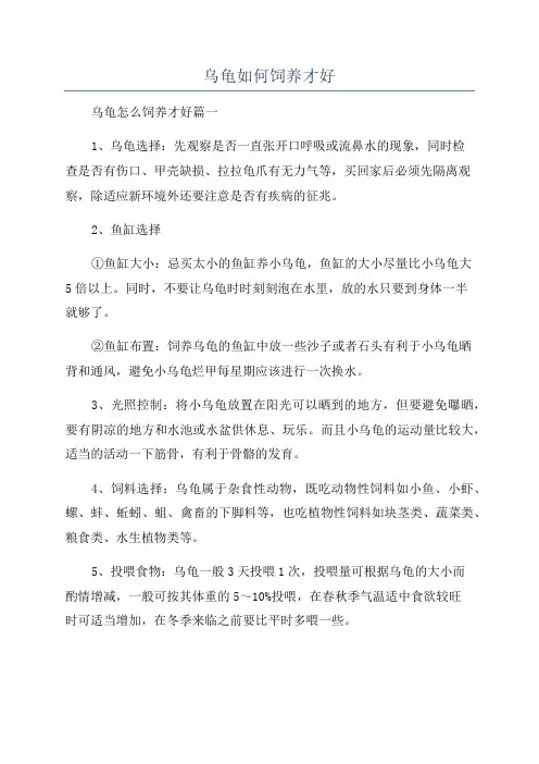 乌龟如何饲养才好