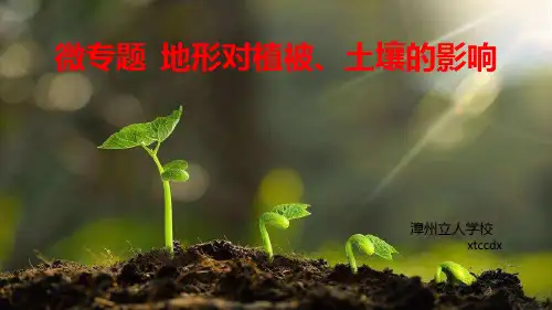 2022届高考地理二轮专题复习 课件 微专题 地形对植被与土壤影响 