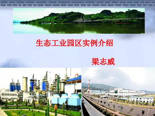 专题研究_生态工业园区实例介绍