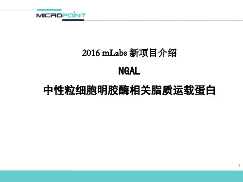 NGAL 临床应用介绍