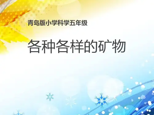 《各种各样的矿物》PPT