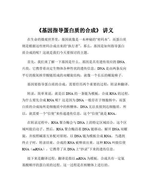 《基因指导蛋白质的合成》 讲义