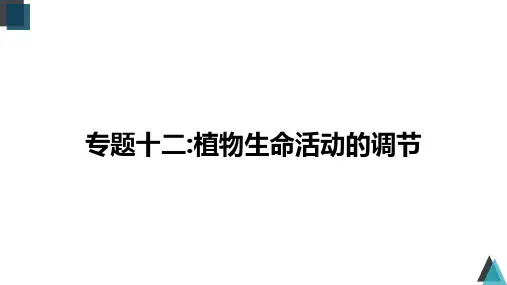 专题12 植物生命活动的调节课件)- 2023年高考生物二轮复习(全国通用)