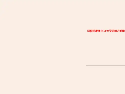 沉积相课件-长江大学岩相古地理-考验教学大纲