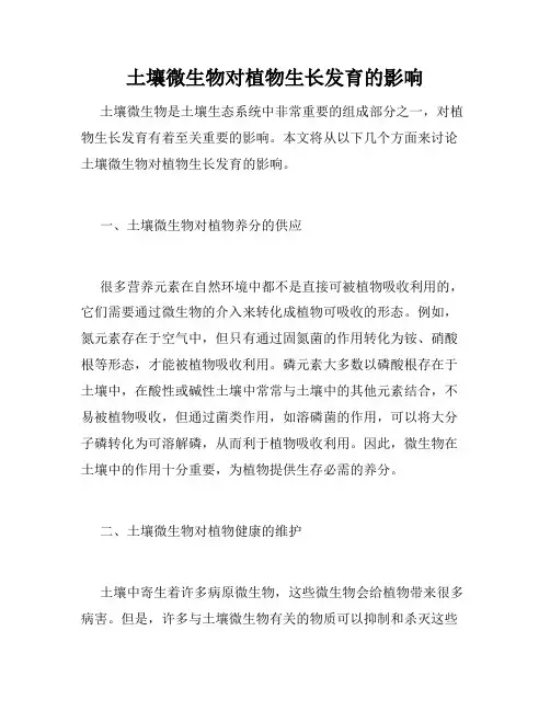 土壤微生物对植物生长发育的影响