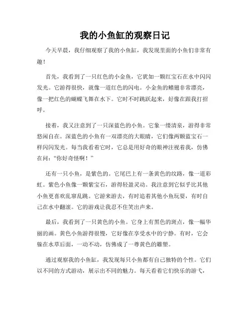 小学三年级作文我的小鱼缸的观察日记