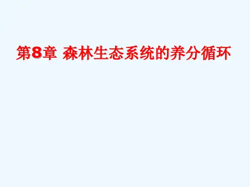08 森林生态系统的养分循环