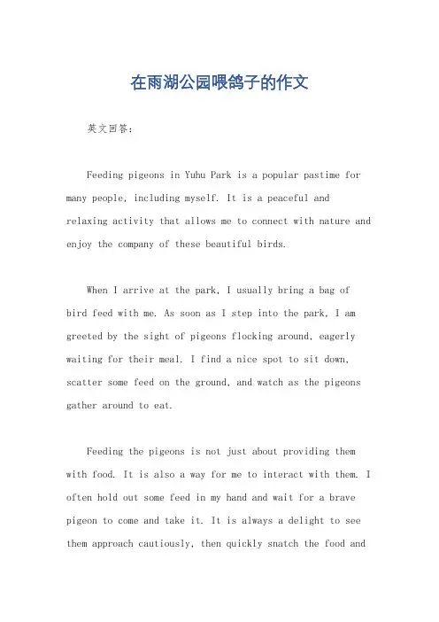 在雨湖公园喂鸽子的作文