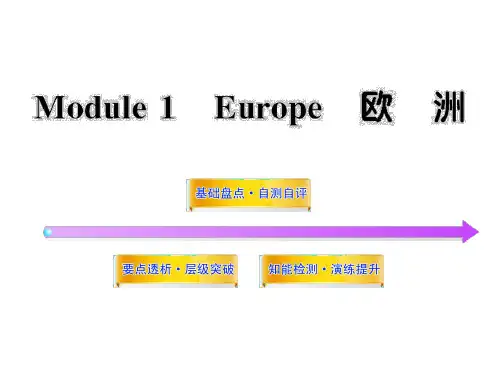2012版高中英语全程复习方略配套课件：Module1(外研版必修3)