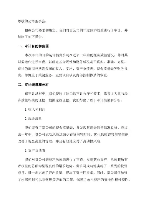 年度经济效益审计报告