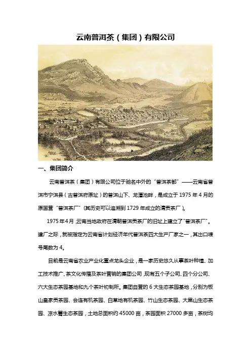云南普洱茶(集团)有限公司简介