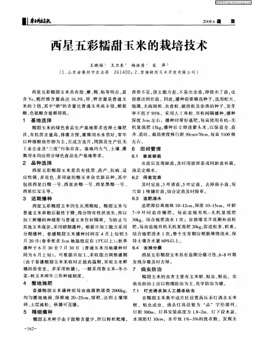 西星五彩糯甜玉米的栽培技术