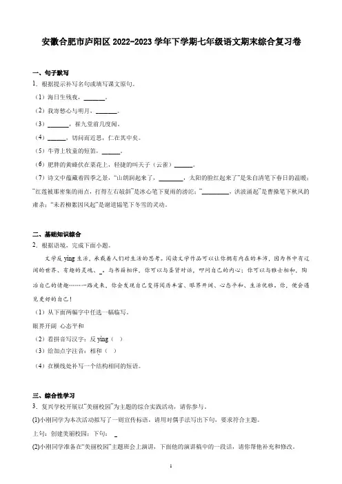 安徽合肥市庐阳区2022-2023学年下学期七年级语文期末综合复习卷