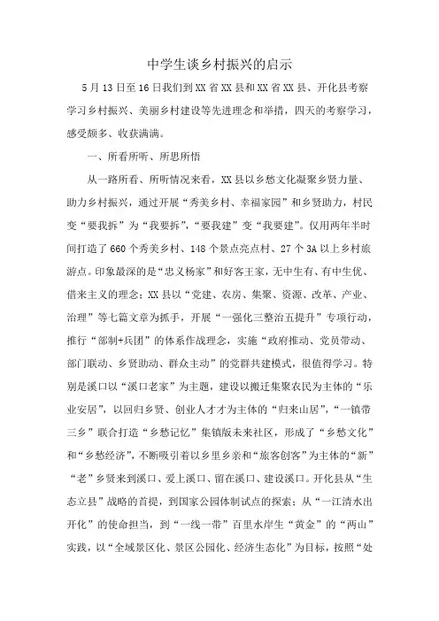 中学生谈乡村振兴的启示
