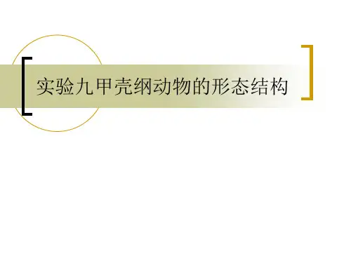 实验9甲壳纲的解剖