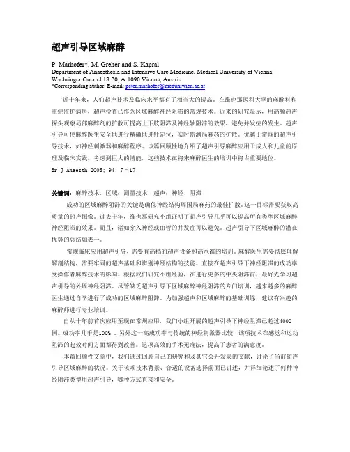 超声引导区域麻醉-中文