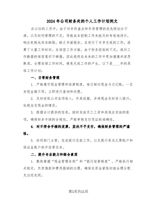 2024年公司财务处的个人工作计划例文（六篇）
