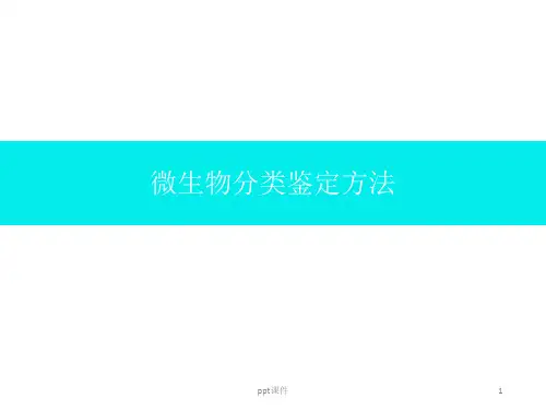 微生物分类鉴定方法  ppt课件