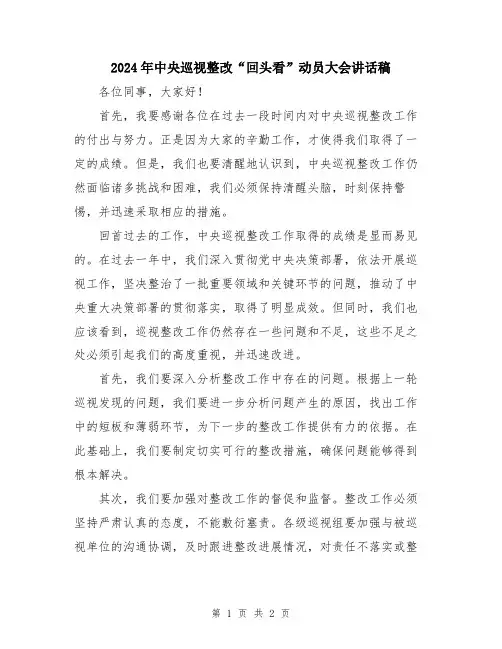 2024年中央巡视整改“回头看”动员大会讲话稿