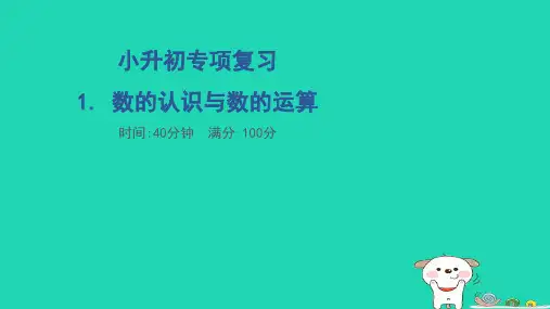 福建省六年级数学下册小升初专项复习1数的认识与数的运算习题pptx课件新人教版