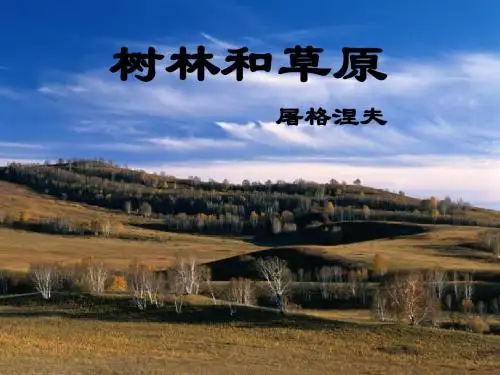 树林和草原-课件