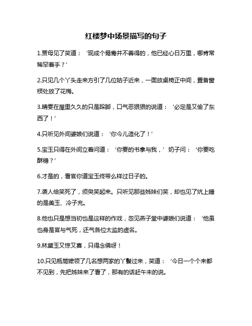红楼梦中场景描写的句子