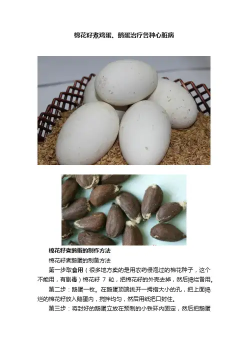 棉花籽煮鸡蛋、鹅蛋治疗各种心脏病