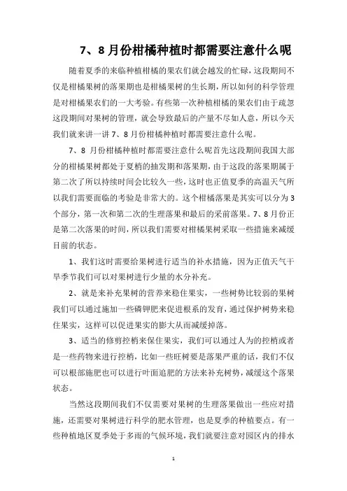 7、8月份柑橘种植时都需要注意什么呢