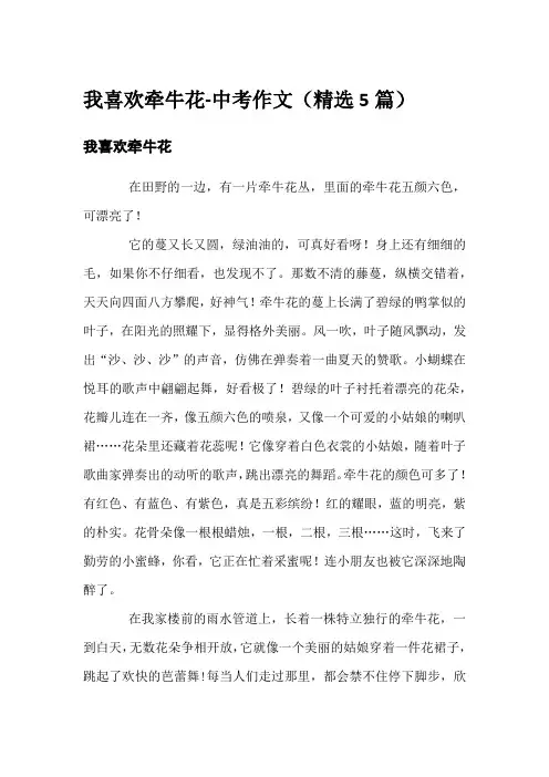 我喜欢牵牛花-中考作文(精选5篇)